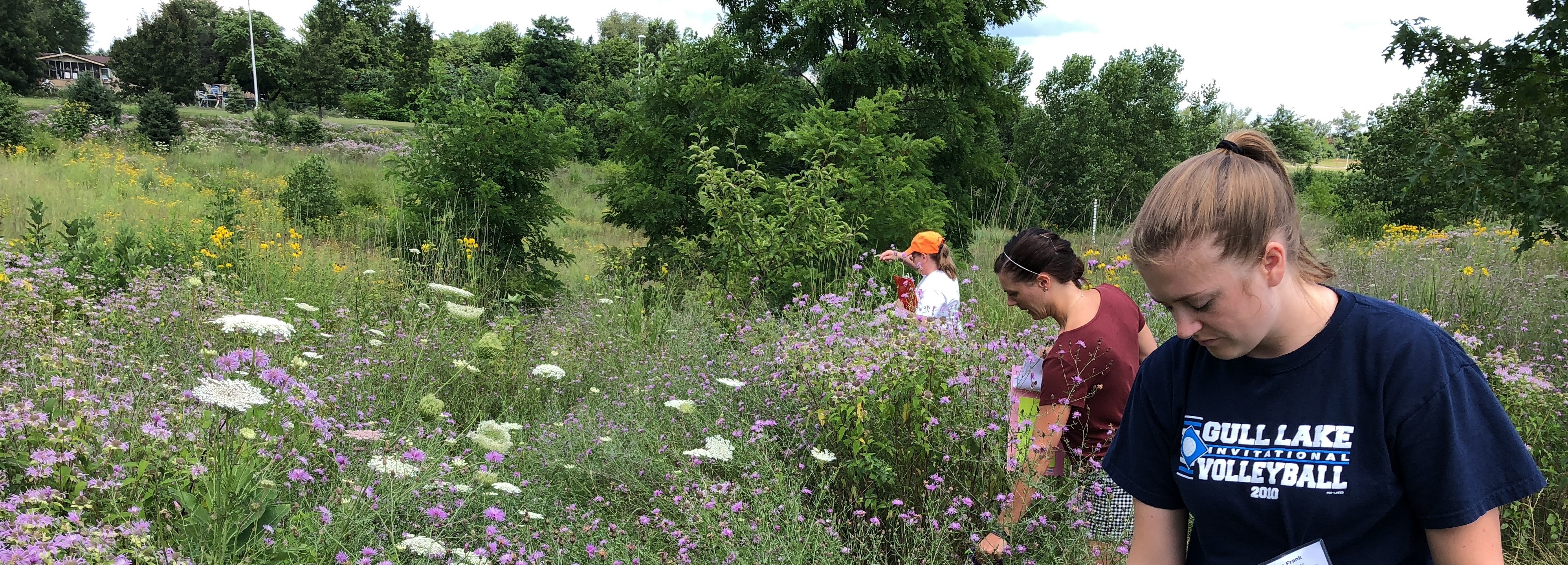 Teachers looking at a field of flowers.