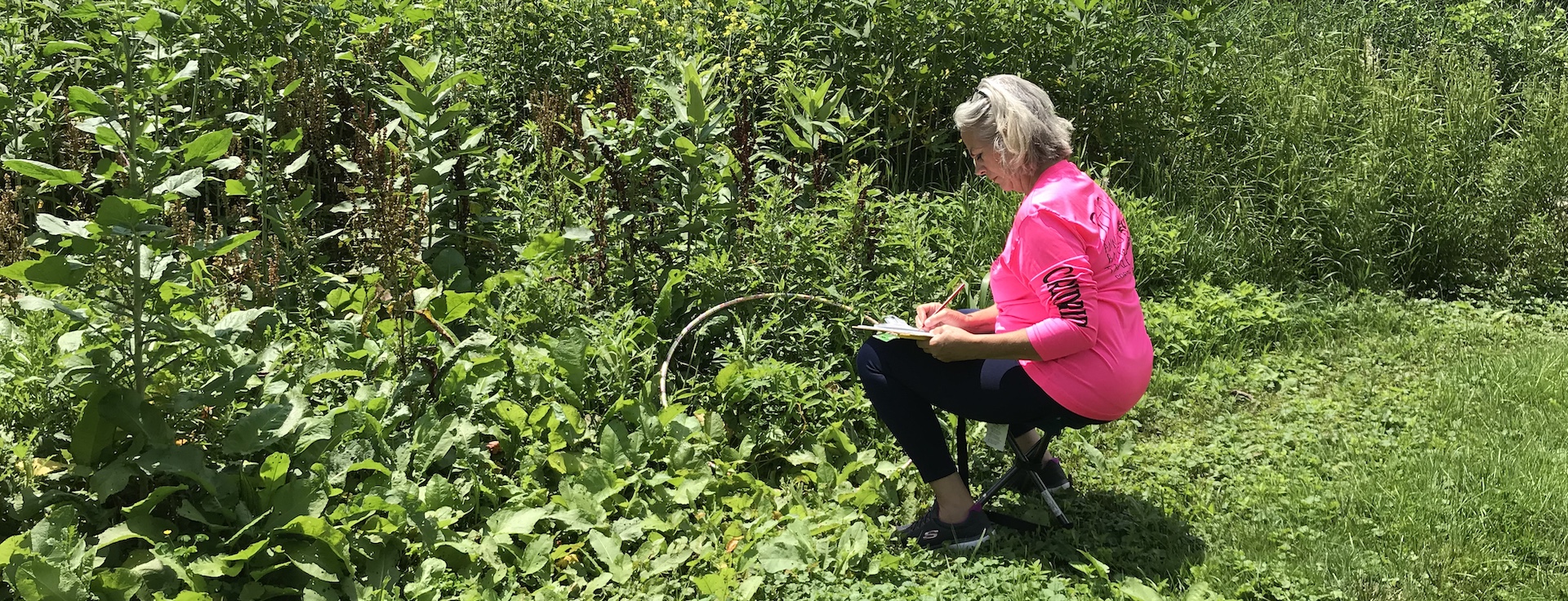 A woman sits near green bushes, looking down at her paper.