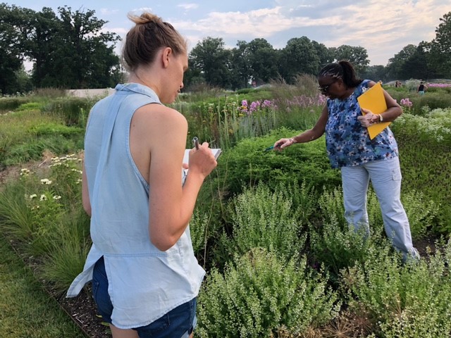 participants investigating pollinator and plant relationships in the garden at the Belle Isle Tower